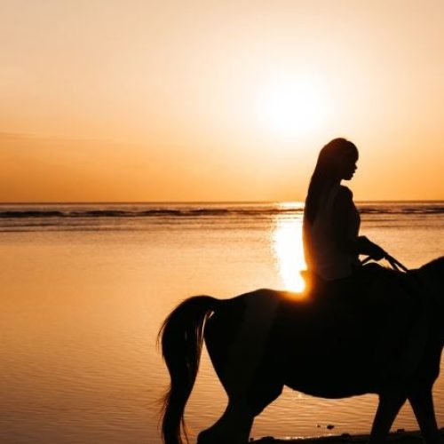 caballos005